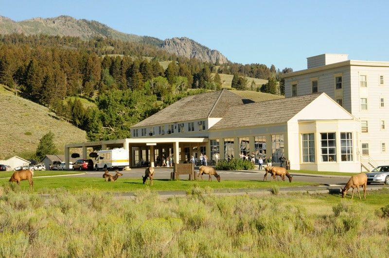 מלון Mammoth Hot Springs מראה חיצוני תמונה